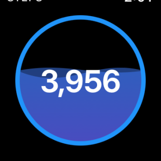 WalkHero count your steps